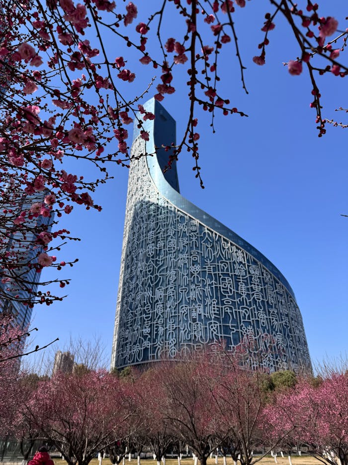 our-services-1 Stunning modern building with intricate facade surrounded by blossoming cherry trees.