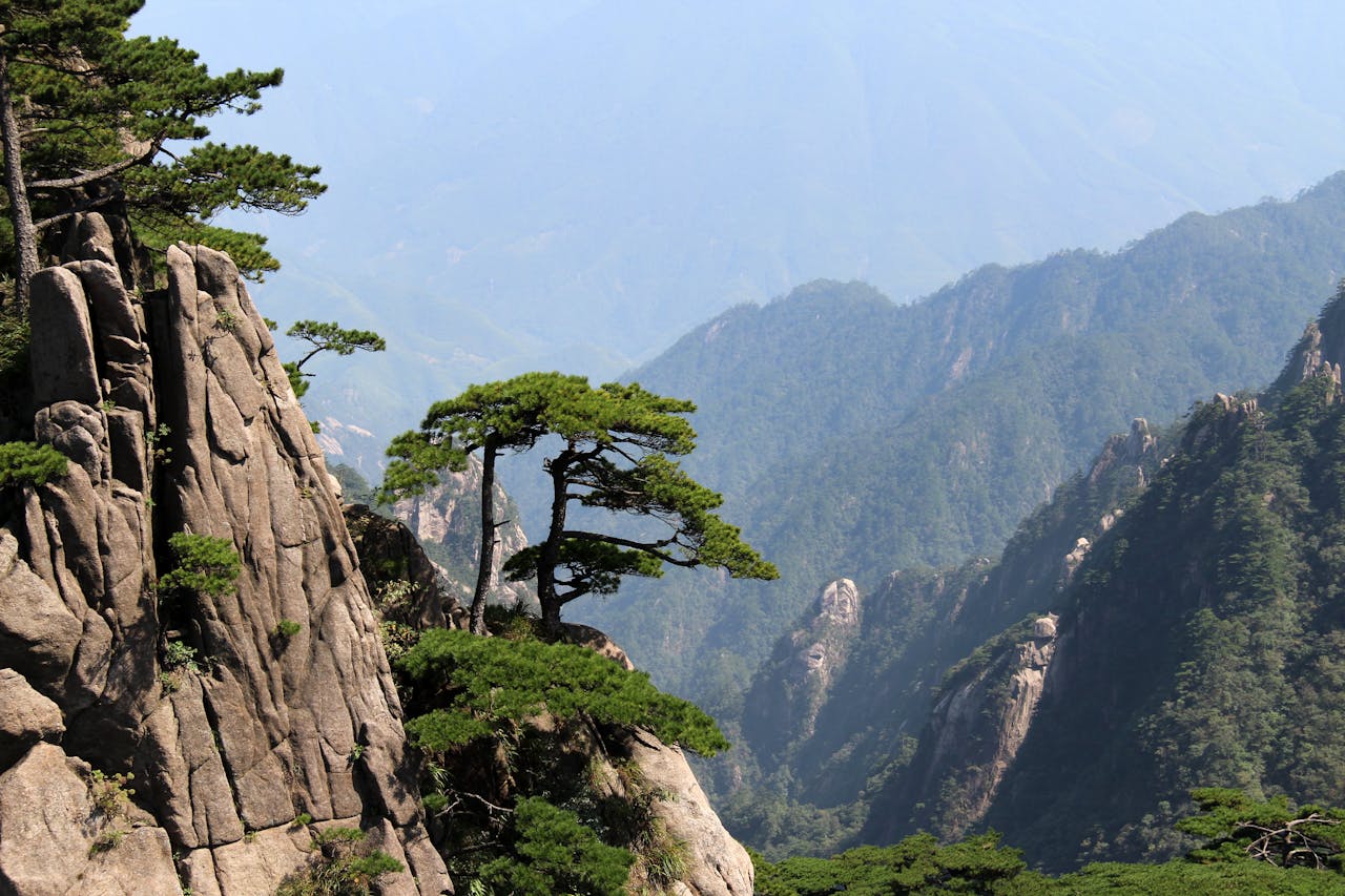 gallery-4 Majestic Huangshan scenery with rocky cliffs and lush trees under a clear sky.